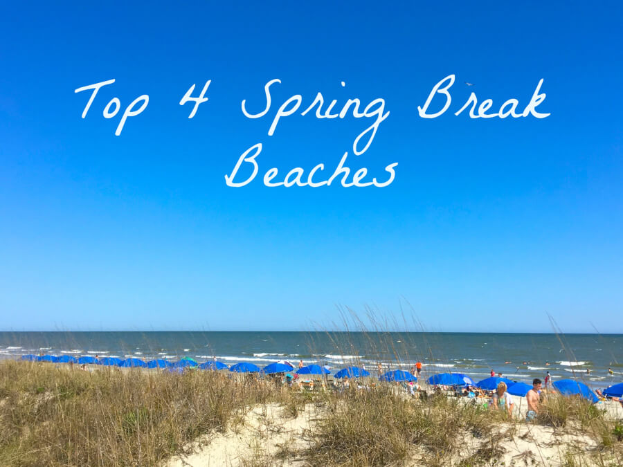 Top 4 Best Spring Break Beaches Mackinaw Road